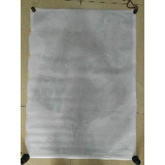 办理假密苏里州驾驶证